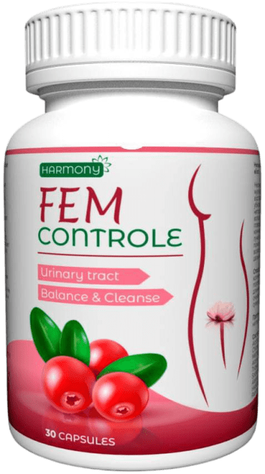 FEM Controle